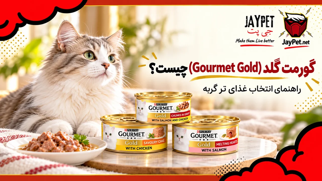 گورمت گلد (Gourmet Gold) چیست؟ راهنمای انتخاب غذای گورمت برای گربه
