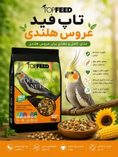 غذای اجیلی عروس هلندی پرمیوم تاپ فید
