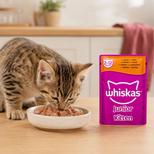 پوچ گربه نابالغ ویسکاس مدل Junior Kitten طعم اردک وزن ۸۵ گرم 102577486
