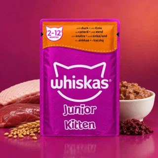 پوچ گربه نابالغ ویسکاس مدل Junior Kitten طعم اردک وزن ۸۵ گرم 102577480