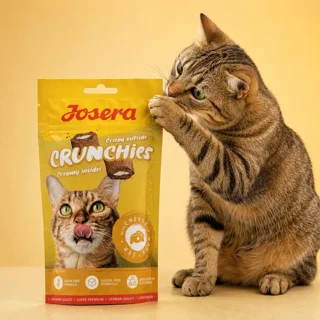 تشویقی گربه جوسرا مدل Crunchies طعم پنیری وزن 60 گرم 102569087