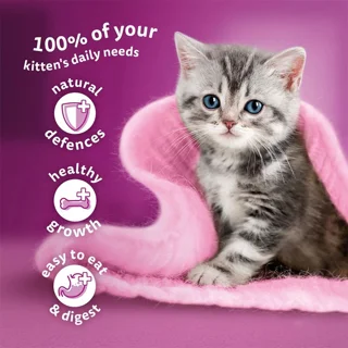 پوچ بچه گربه ویسکاس مدل Kitten in Jelly با طعم ماهی سالمون وزن 85 گرم 102570979