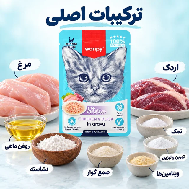 پوچ بچه گربه ونپی مدل Stew chicken & duck وزن 70 گرم 102672050