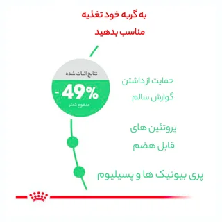 غذای خشک گربه رویال کنین مدل Digestive Care وزن 2 کیلوگرم 101703597
