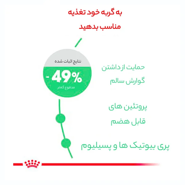 غذای خشک گربه رویال کنین مدل Digestive Care وزن 2 کیلوگرم 101703597