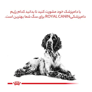 غذای خشک سگ رویال کنین مدل Hypoallergenic ضد حساسیت وزن 2 کیلوگرم 101703565