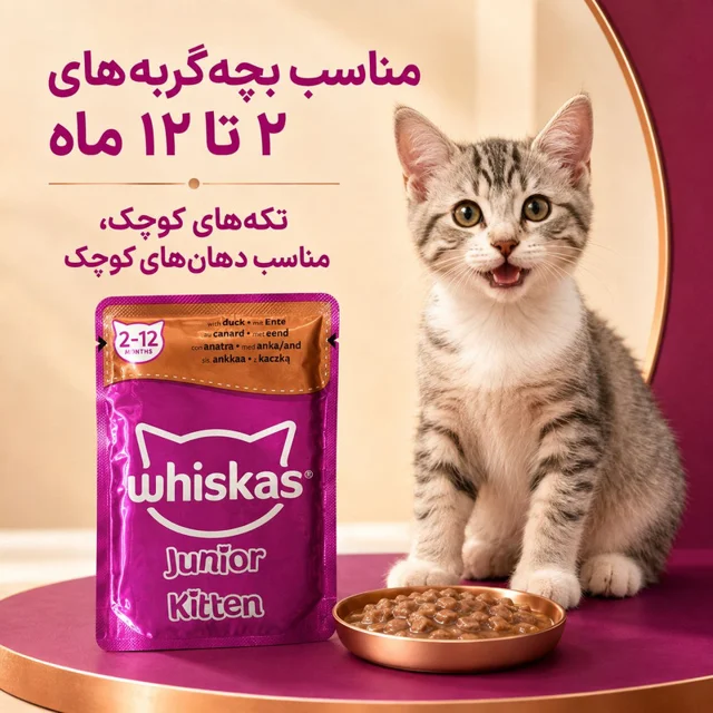 پوچ گربه نابالغ ویسکاس مدل Junior Kitten طعم اردک وزن ۸۵ گرم 102577485