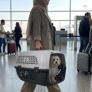 باکس حمل سگ و گربه دنیل مدل مکس 101555865