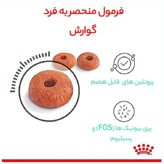 غذای خشک گربه رویال کنین مدل Digestive Care وزن 2 کیلوگرم 101703598