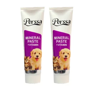 خمیر مینرال سگ و گربه پرسا مدل Mineral وزن 100 گرم بسته 2 عددی 101595773